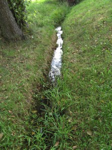Altmuehlradweg02_2