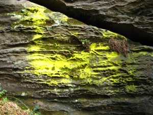 SaechsischeSchweiz01_5