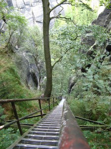 SaechsischeSchweiz01_6