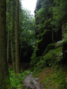 SaechsischeSchweiz02_1