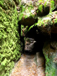 SaechsischeSchweiz02_2