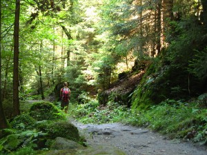 SaechsischeSchweiz03_7