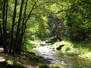 SaechsischeSchweiz03_8