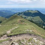 RampoldplatteHochsalwand_06